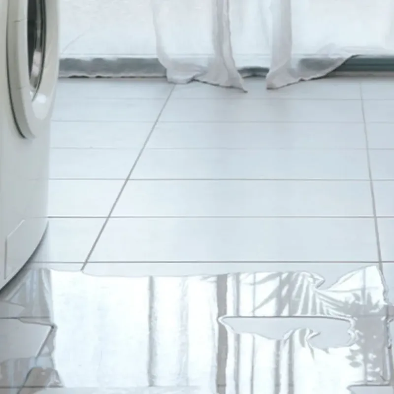 Appliance Leak Cleanup in Duncan, SC